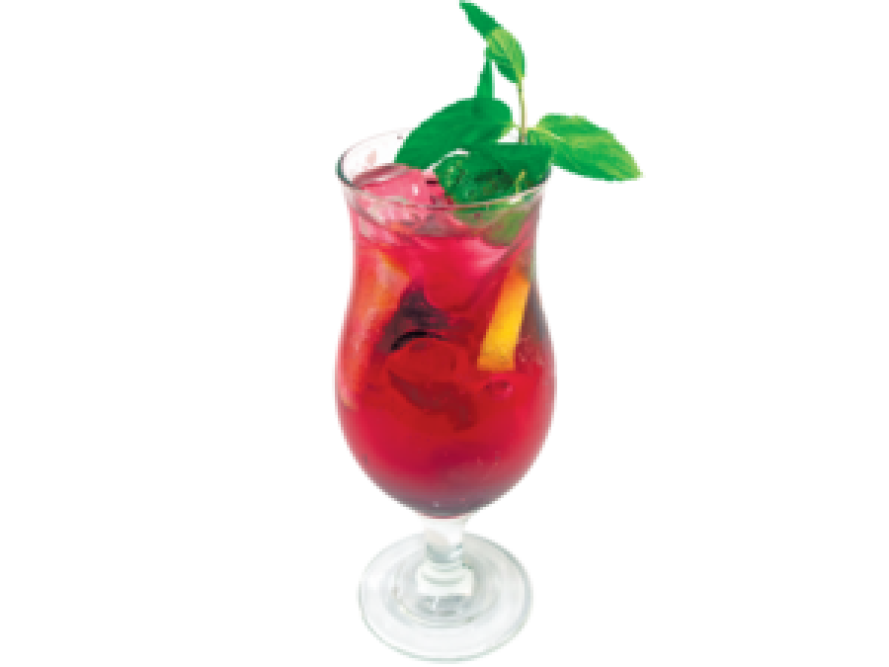 Village Bio Lemonade - 450 мл.